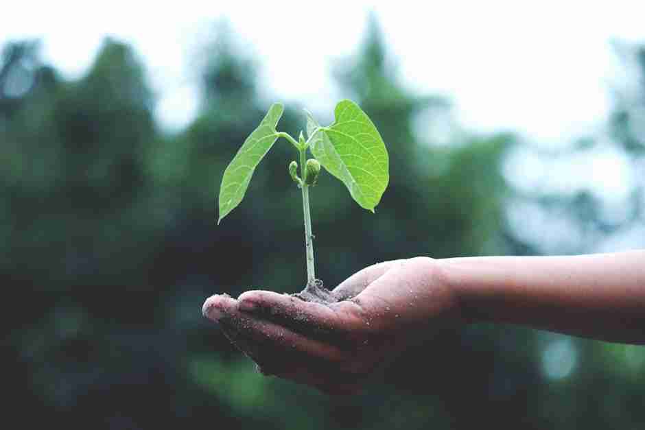Digital Marketing for Small Businesses: Essential Strategies for Growth in 2025